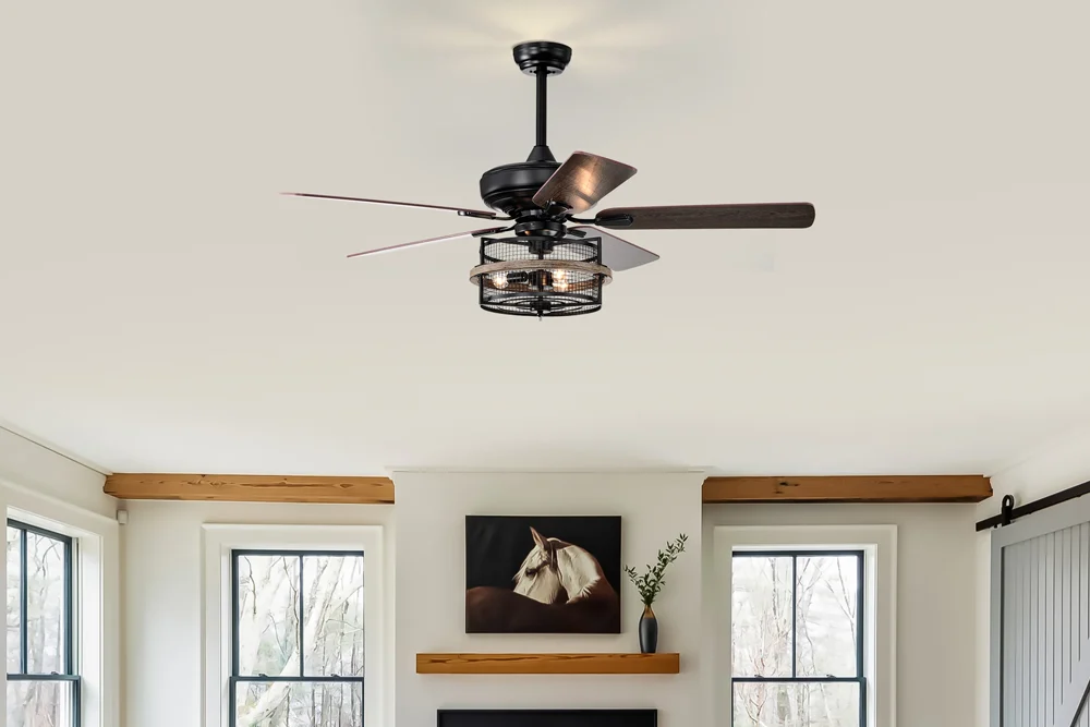 Light fixtures and ceiling fans